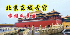 黑人操俄罗斯淫妇ⅩXⅩBBB中国北京-东城古宫旅游风景区